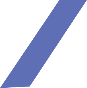 slider-h1-shape-4 slider